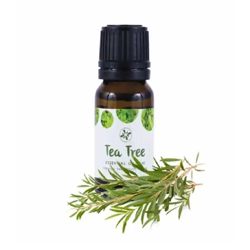 Skin-Cafe-Tea-Tree-Essential-Oil-10ml.webp Skin Cafe Tea Tree Essential Oil 10ml - Image 1